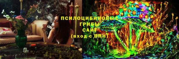 ПСИЛОЦИБИНОВЫЕ ГРИБЫ Бугульма